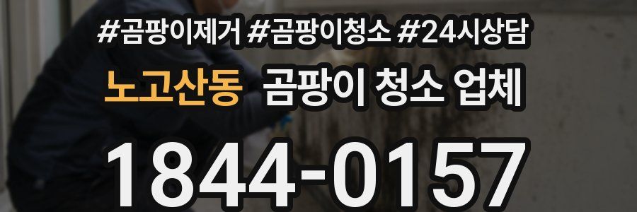 노고산동 곰팡이 청소 업체