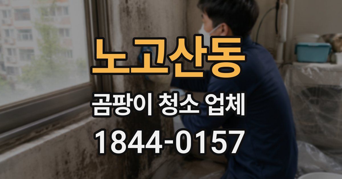 노고산동 곰팡이 청소 업체