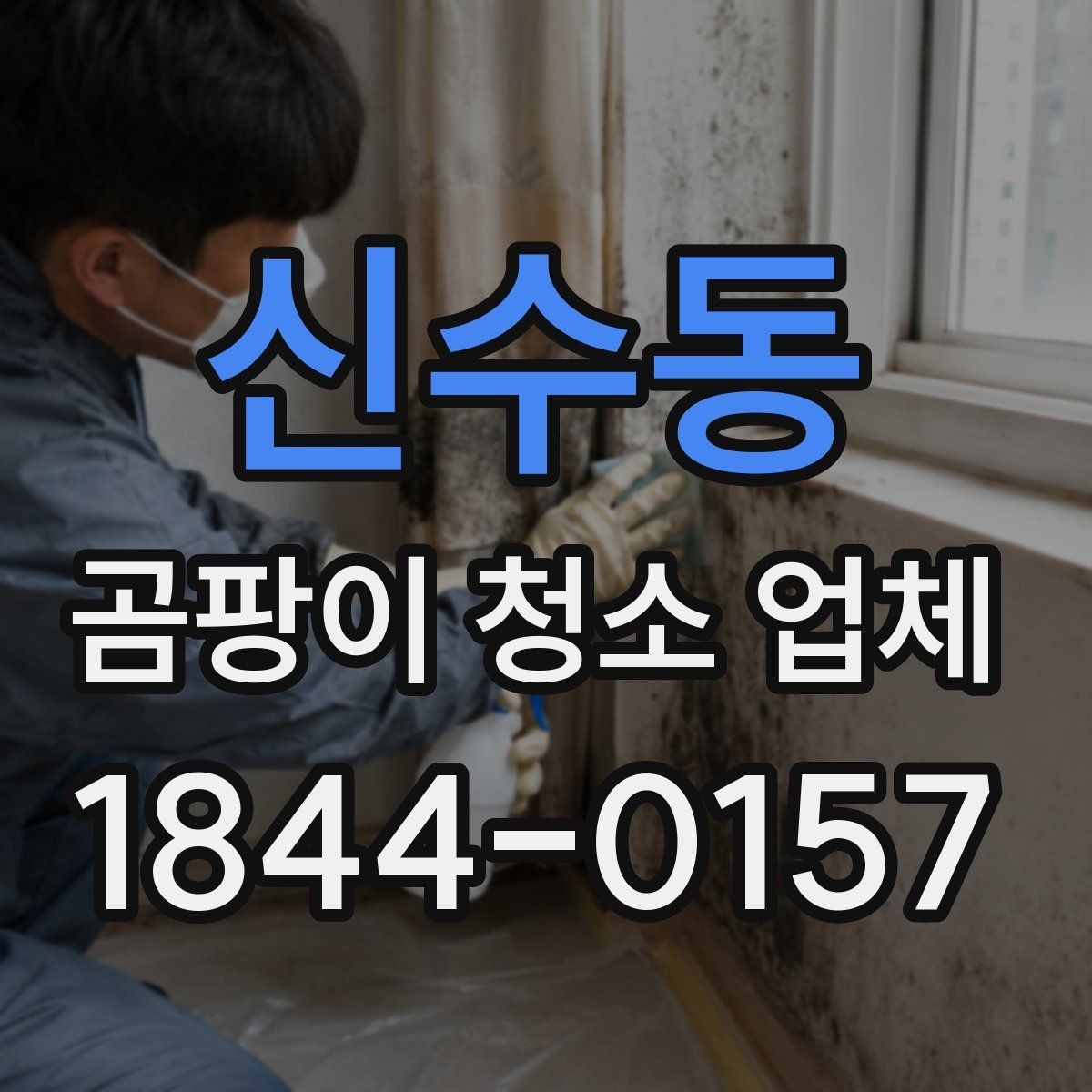 신수동 곰팡이 청소 업체 장비 선택에 따라 달라지는 처리 결과