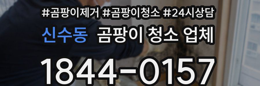 신수동 곰팡이 청소 업체