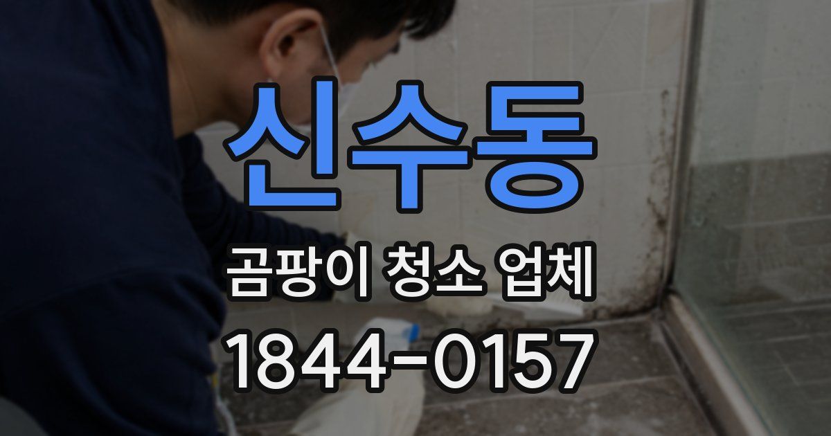신수동 곰팡이 청소 업체