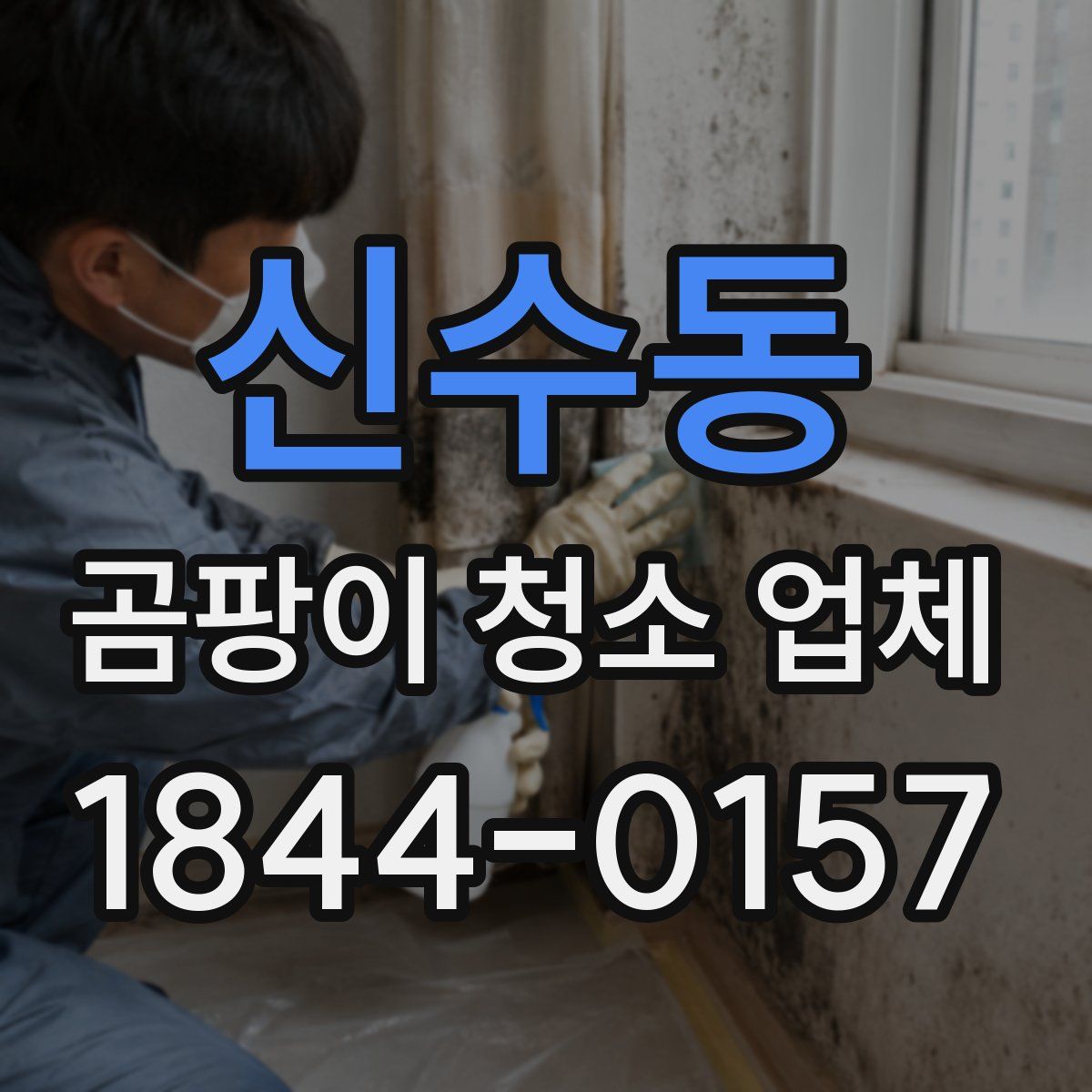 신수동 곰팡이 청소 업체