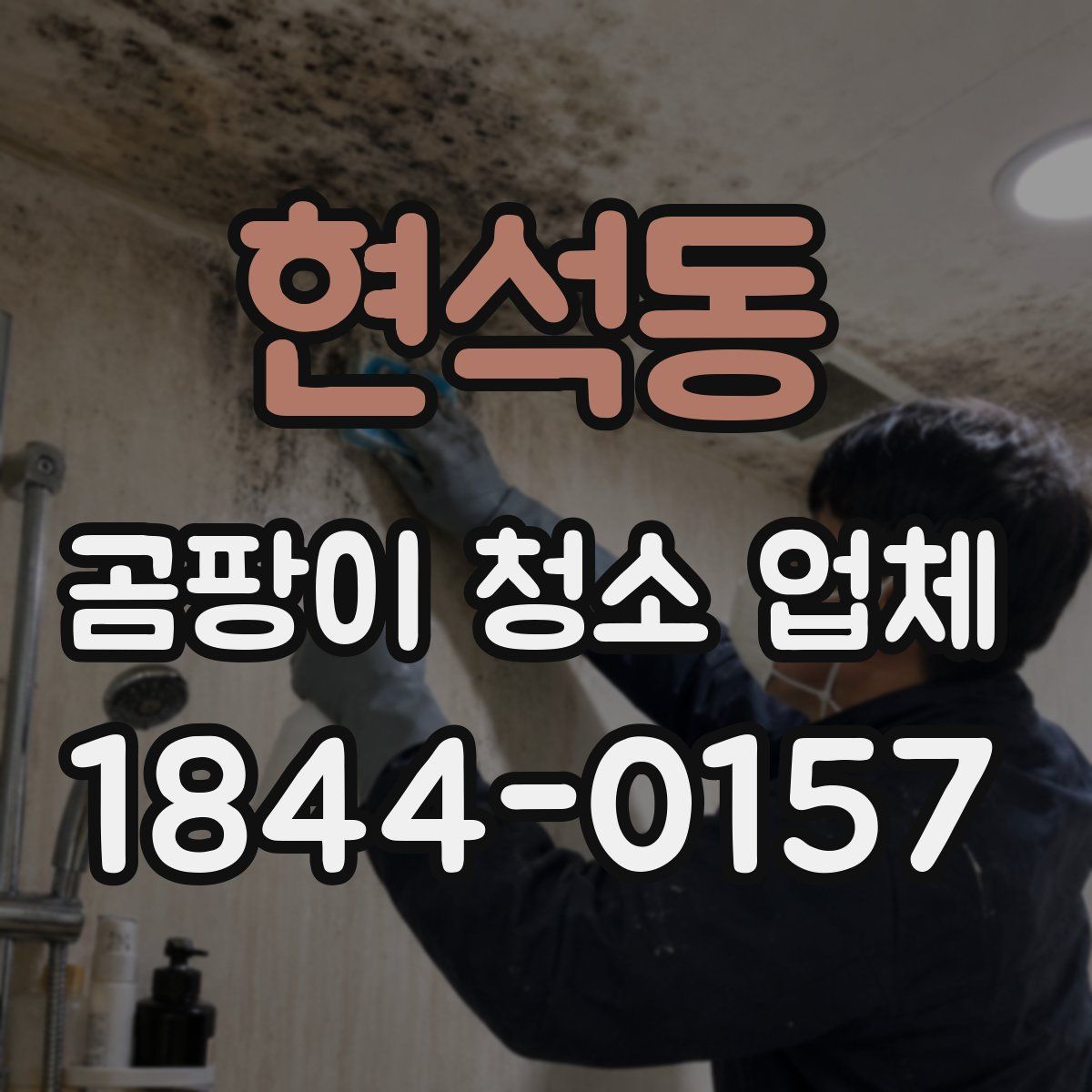 현석동 곰팡이 청소 업체