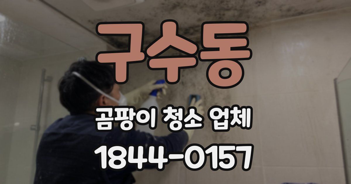구수동 곰팡이 청소 업체