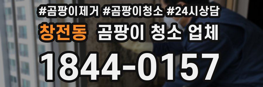 창전동 곰팡이 청소 업체