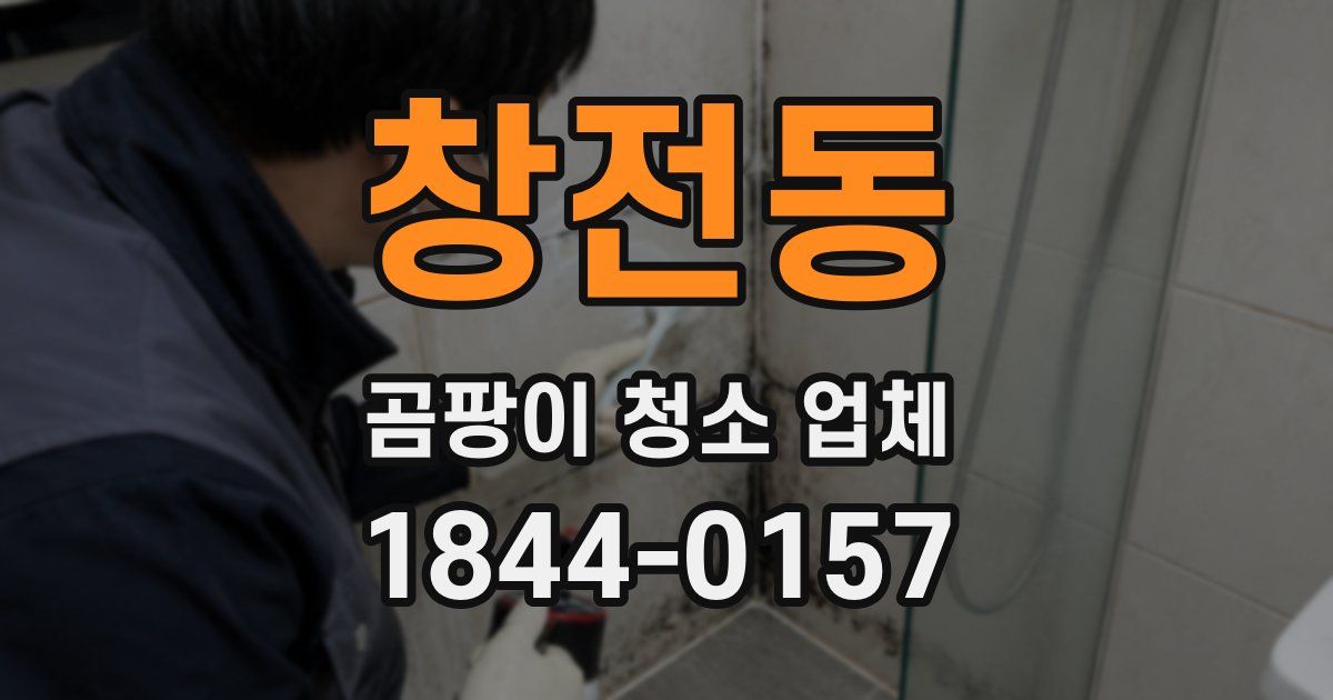 창전동 곰팡이 청소 업체