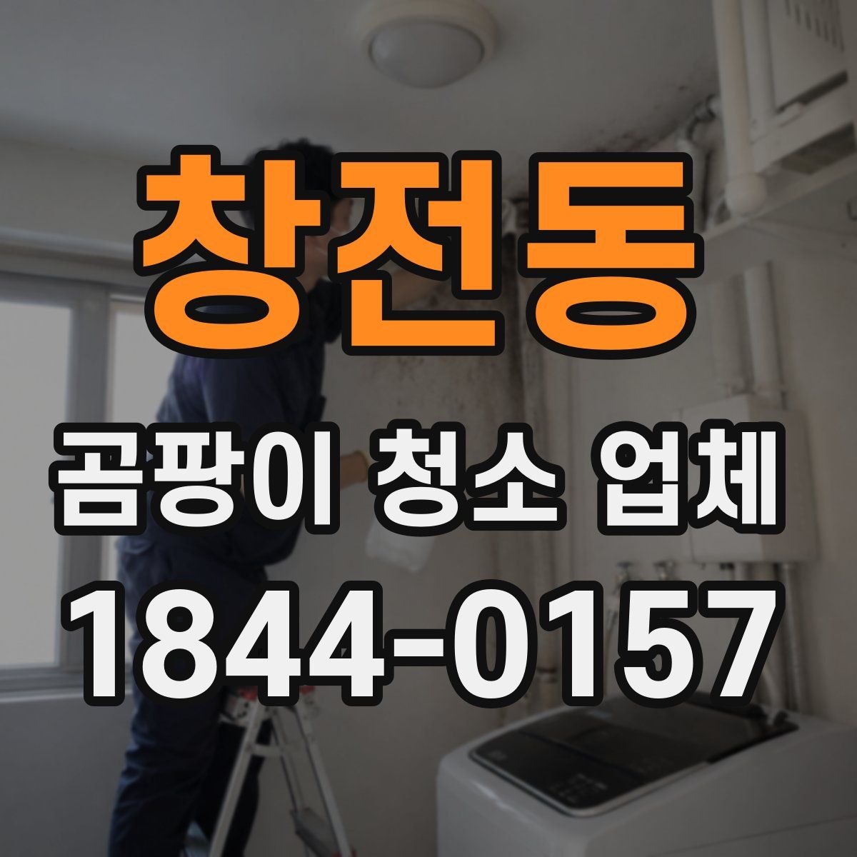 창전동 곰팡이 청소 업체