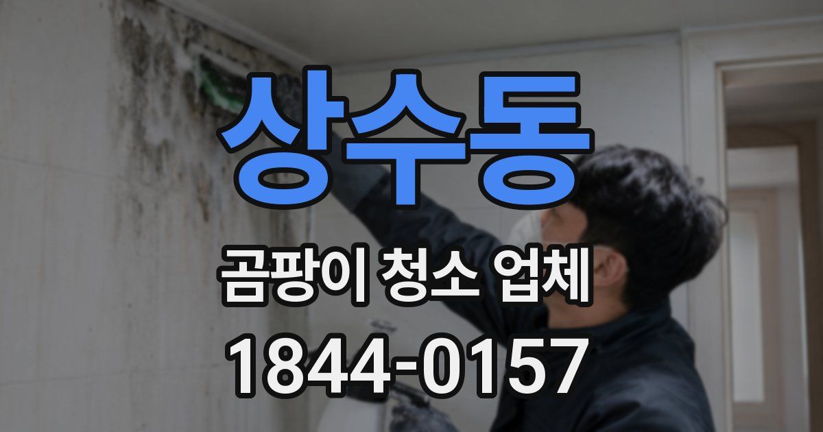 상수동 곰팡이 청소 업체