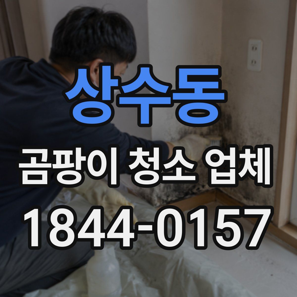 상수동 곰팡이 청소 업체