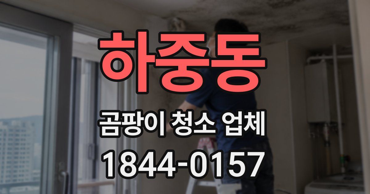 하중동 곰팡이 청소 업체