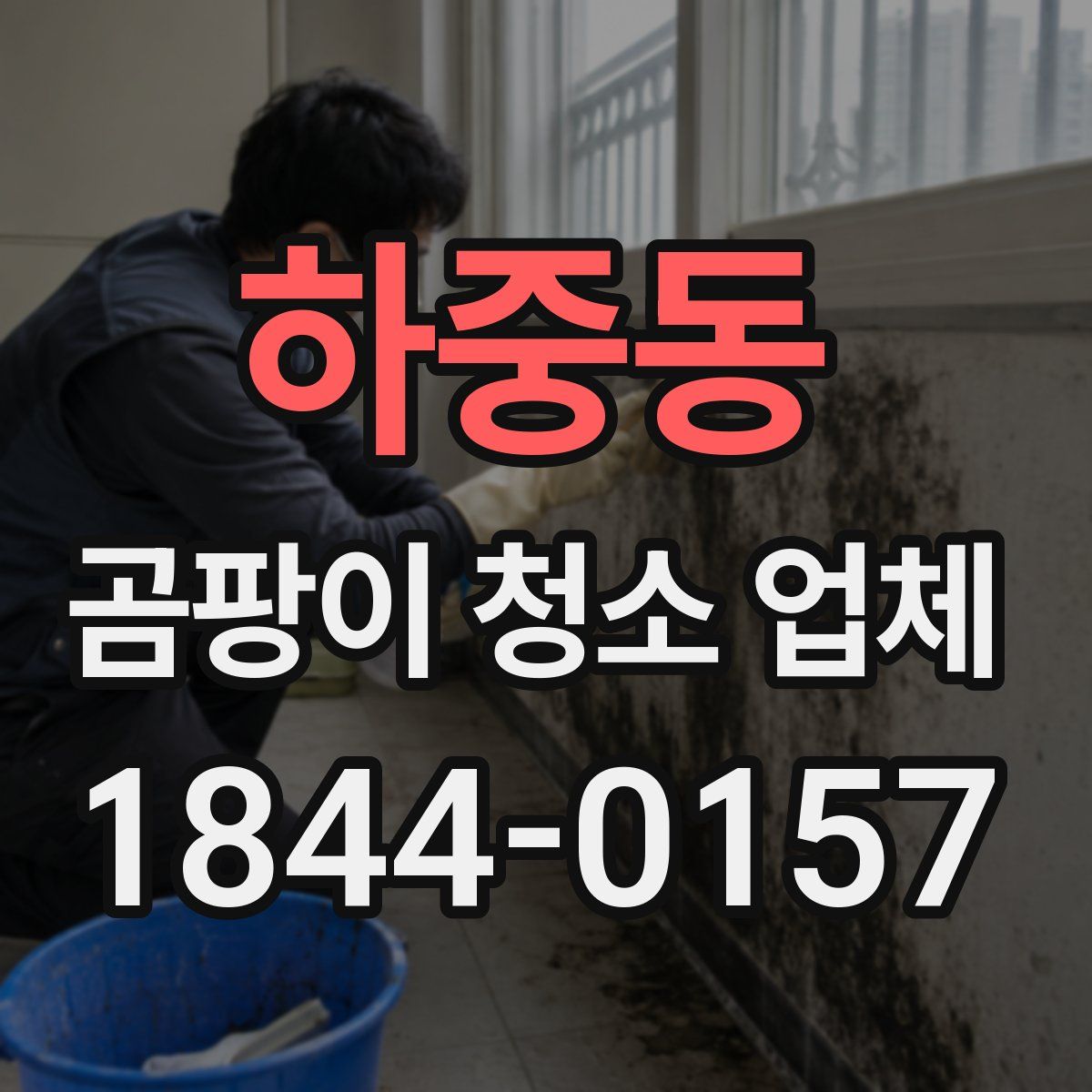 하중동 곰팡이 청소 업체