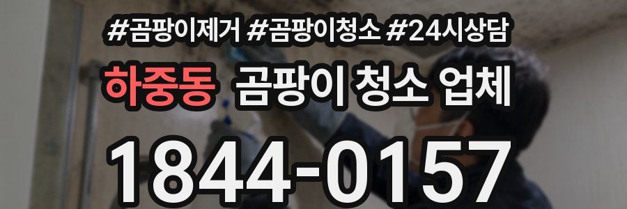 하중동 곰팡이 청소 업체