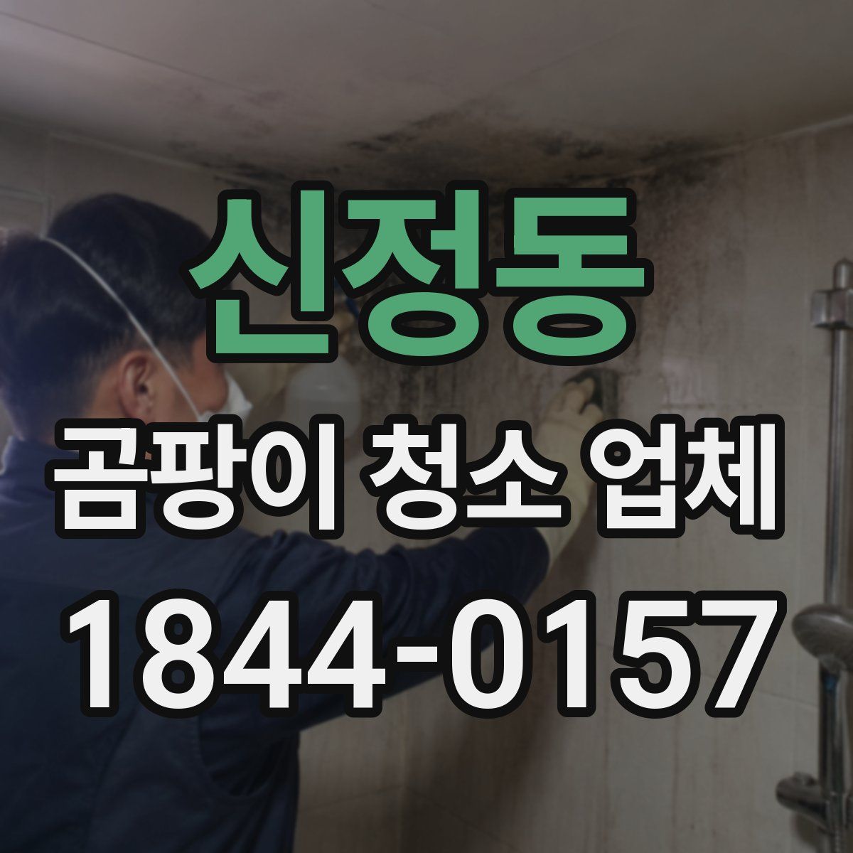 신정동 곰팡이 청소 업체
