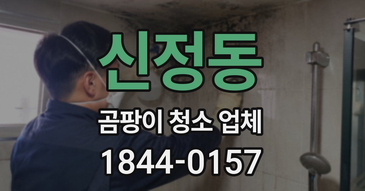 신정동 곰팡이 청소 업체