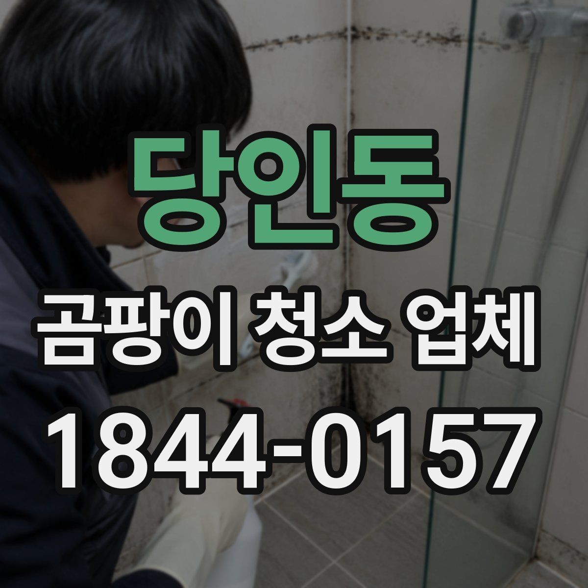 당인동 곰팡이 청소 업체 현장 사진으로 작업 범위를 이해하는 팁