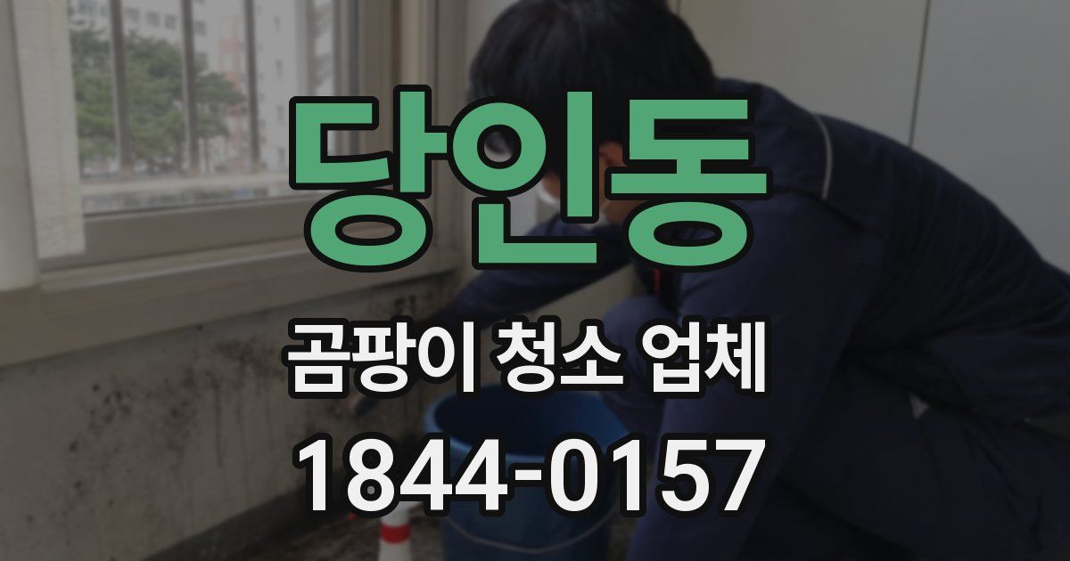 당인동 곰팡이 청소 업체
