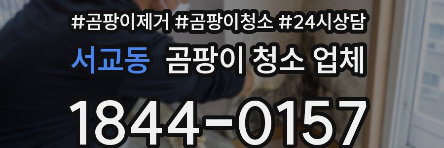 서교동 곰팡이 청소 업체