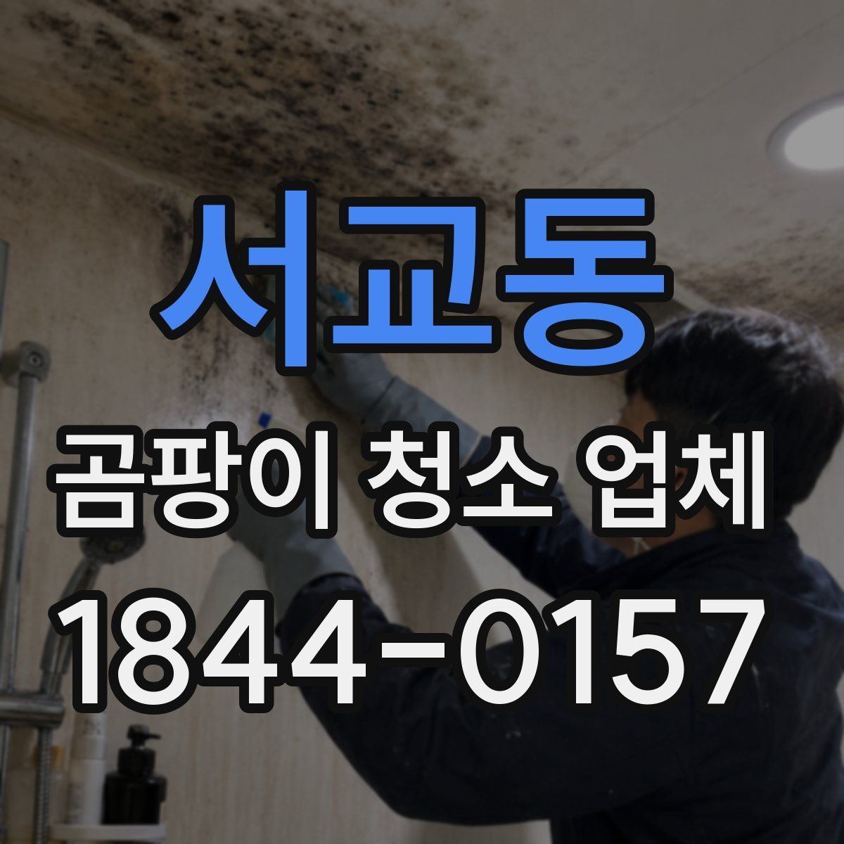 서교동 곰팡이 청소 업체