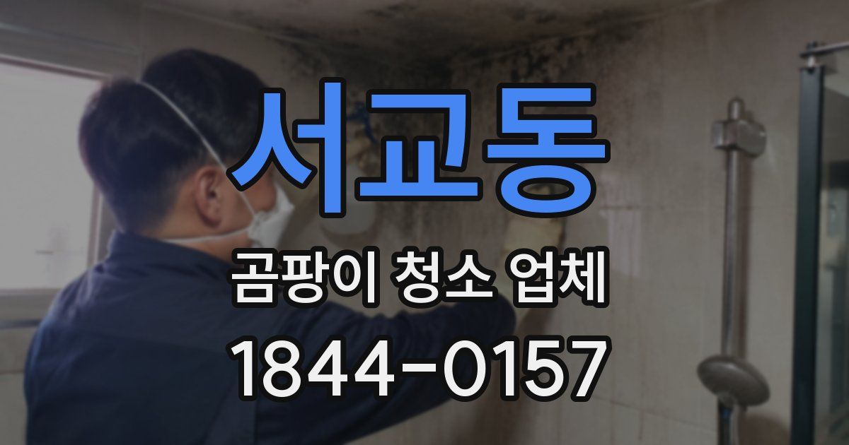 서교동 곰팡이 청소 업체