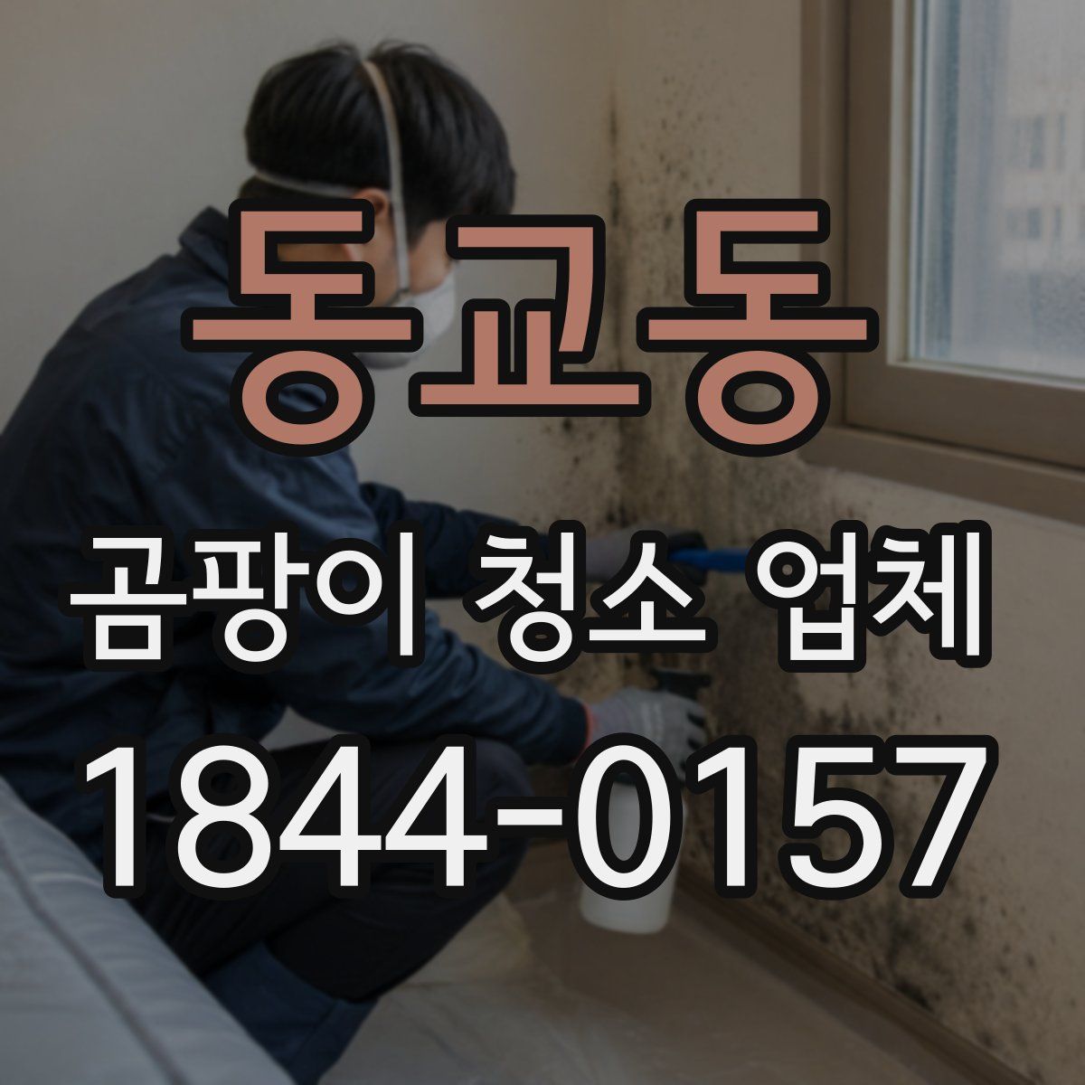 동교동 곰팡이 청소 업체