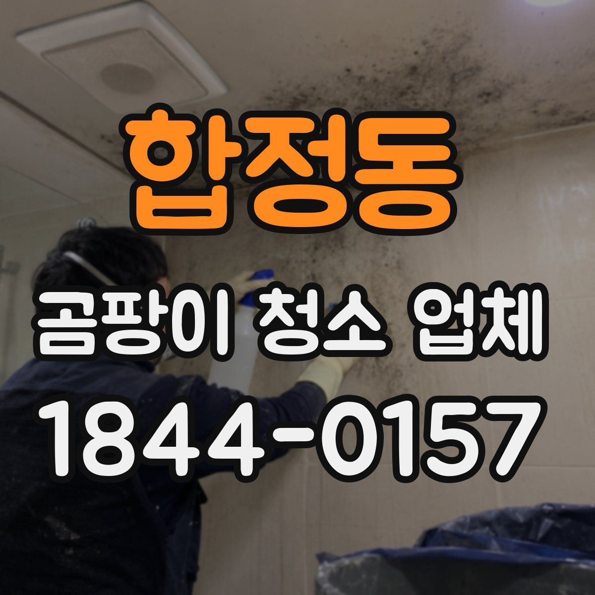 합정동 곰팡이 청소 업체