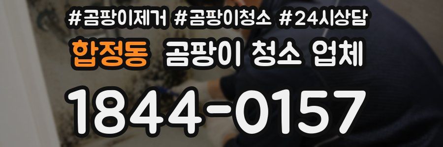 합정동 곰팡이 청소 업체