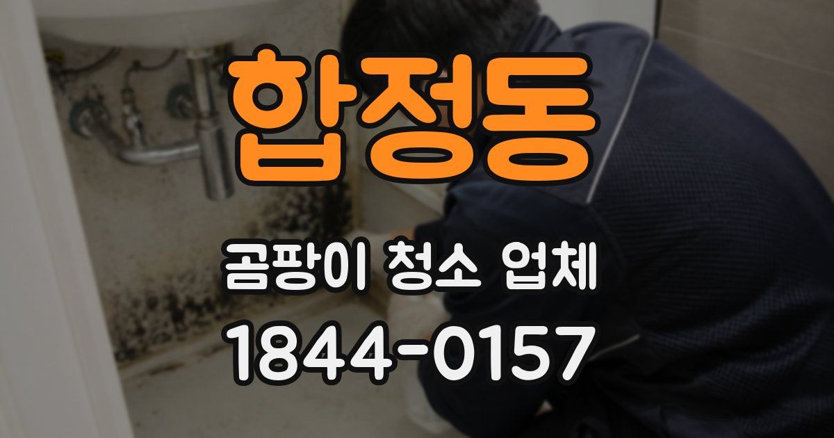 합정동 곰팡이 청소 업체