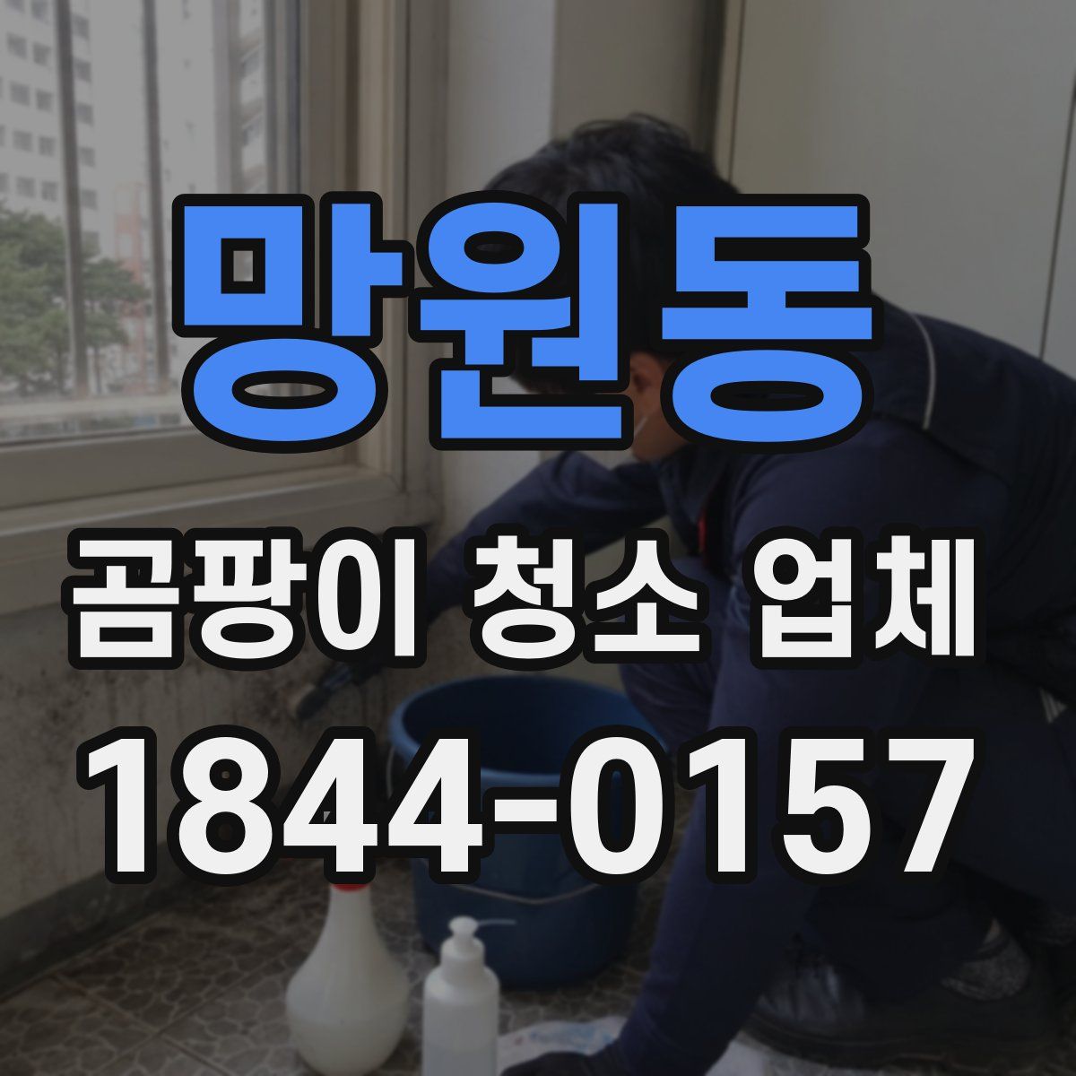 망원동 곰팡이 청소 업체