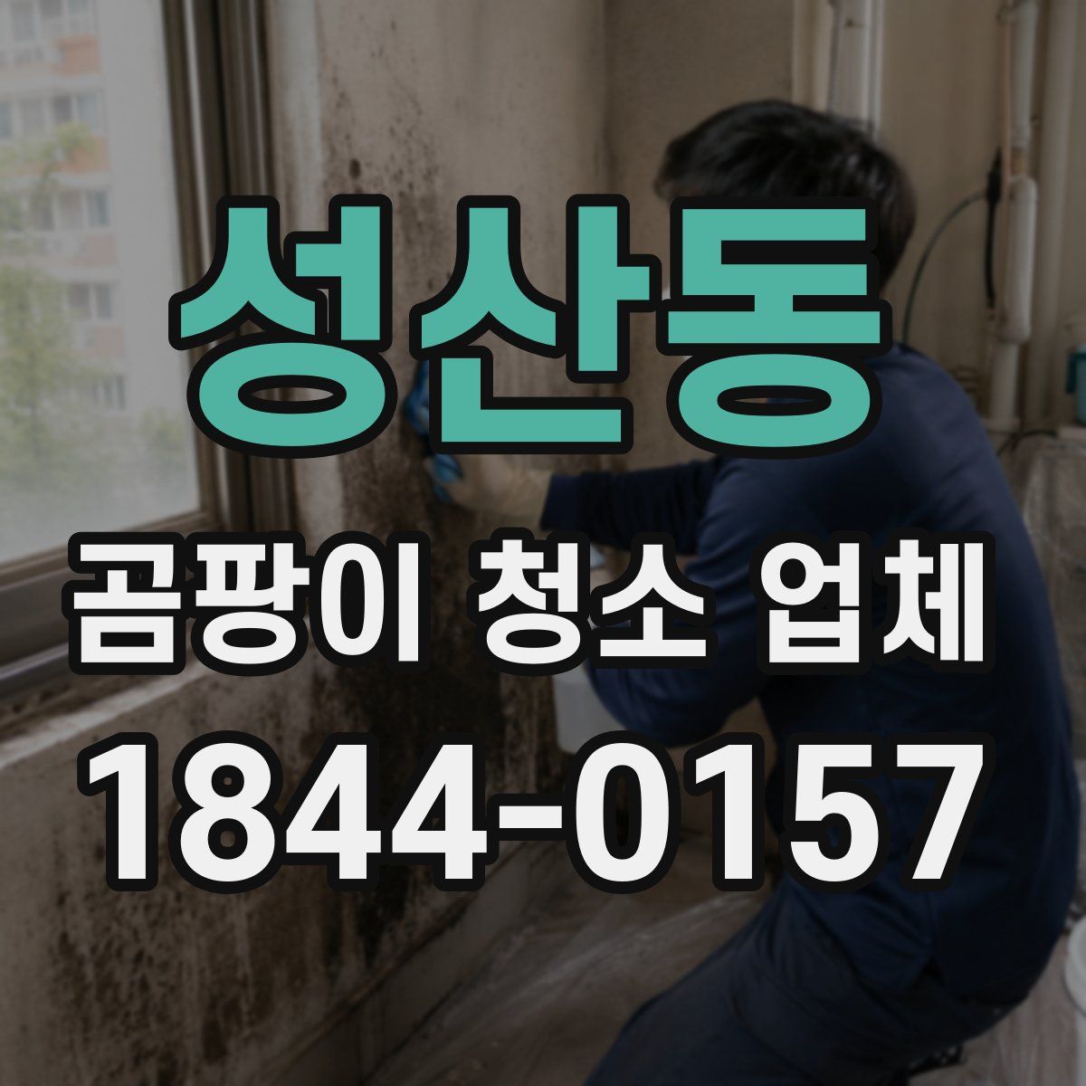 성산동 곰팡이 청소 업체