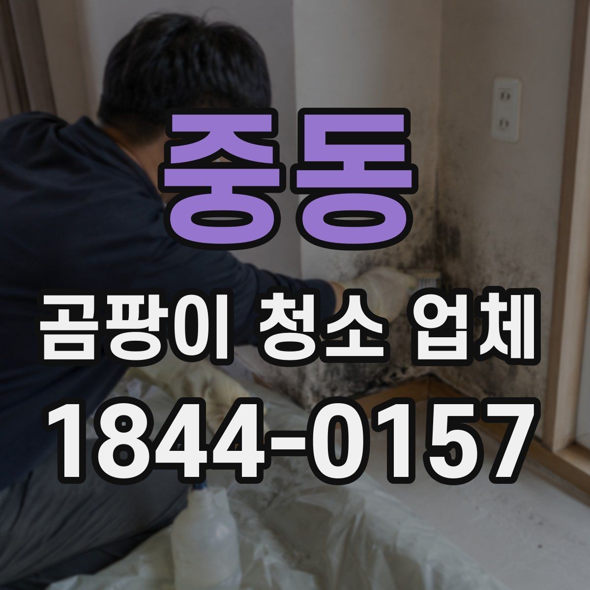 중동 곰팡이 청소 업체 반려동물 생활공간에 맞는 관리 포인트