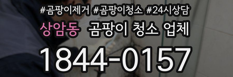 상암동 곰팡이 청소 업체