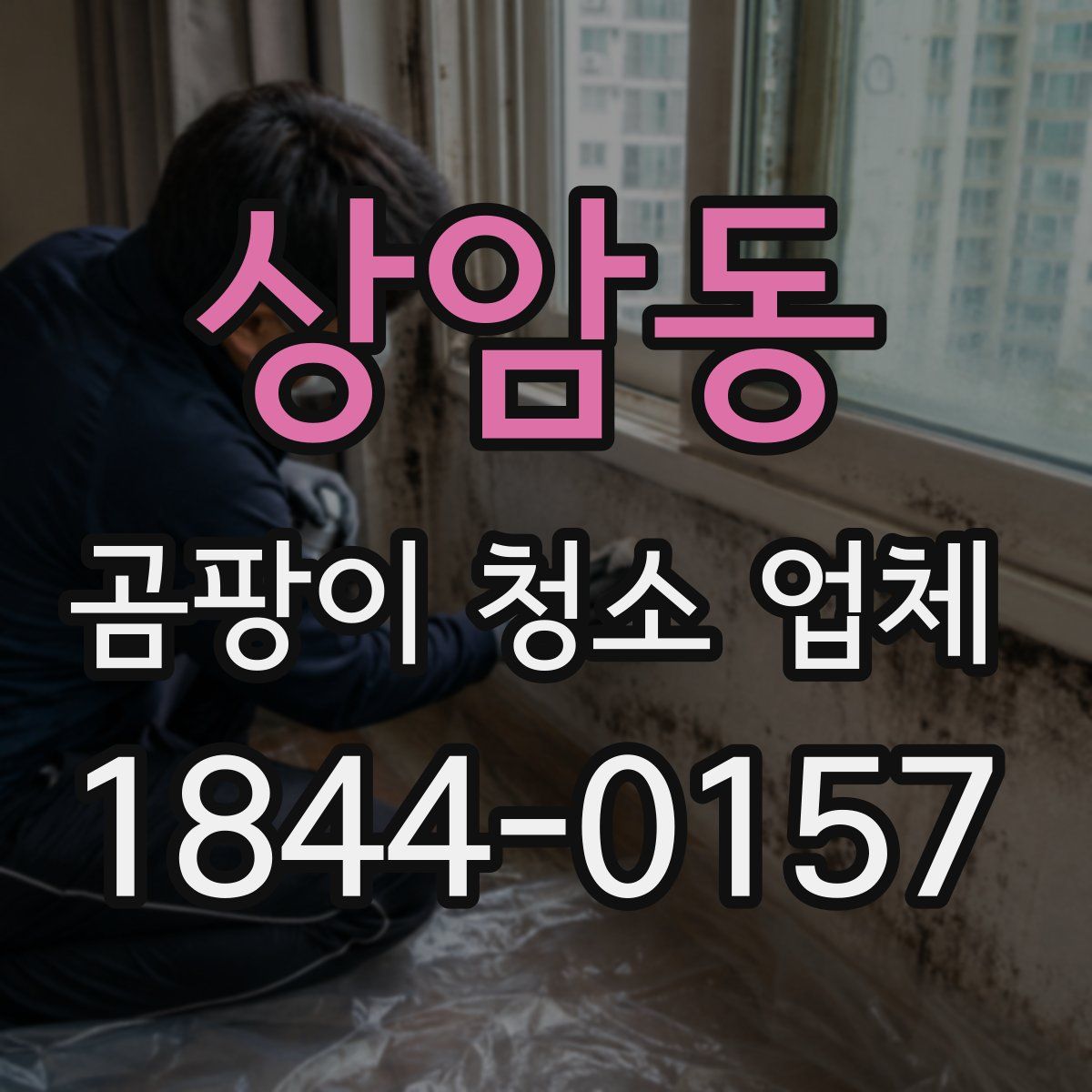 상암동 곰팡이 청소 업체