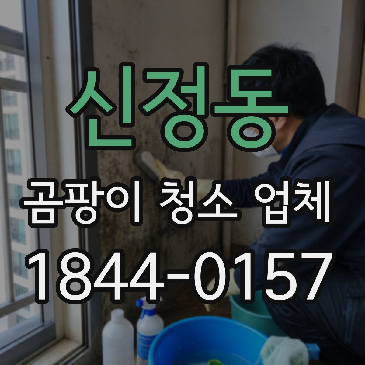신정동 곰팡이 청소 업체
