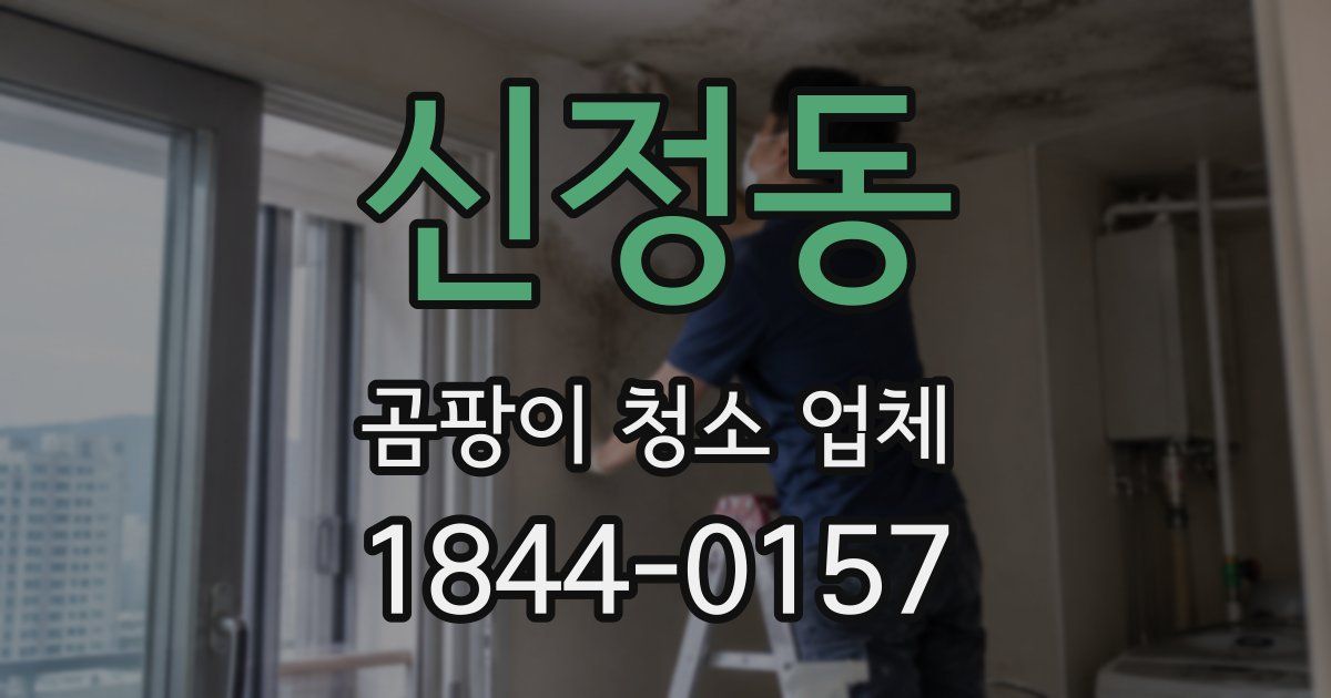신정동 곰팡이 청소 업체