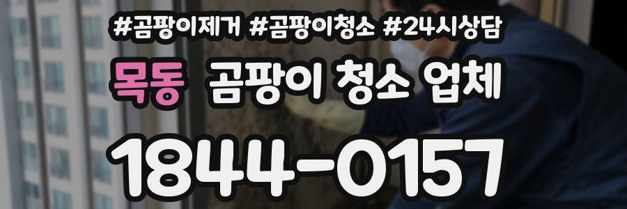 목동 곰팡이 청소 업체