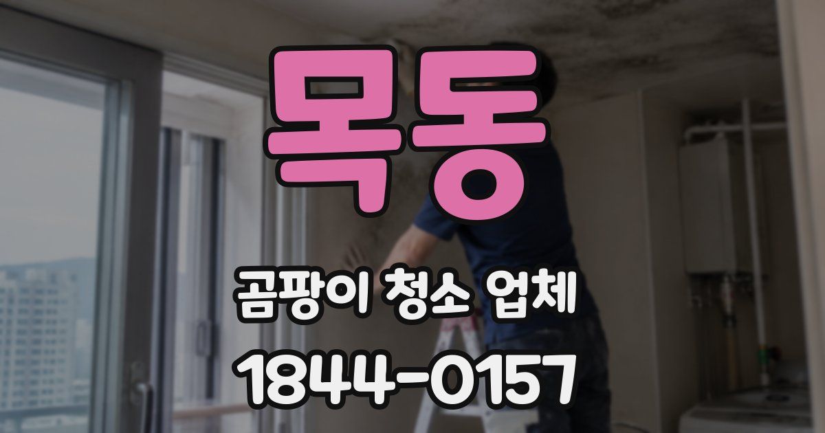 목동 곰팡이 청소 업체