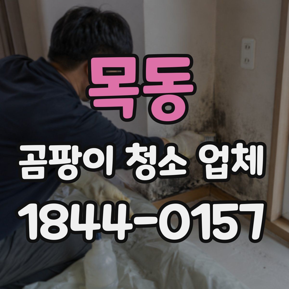 목동 곰팡이 청소 업체