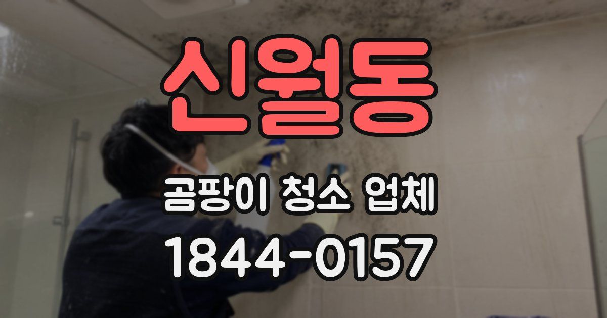 신월동 곰팡이 청소 업체
