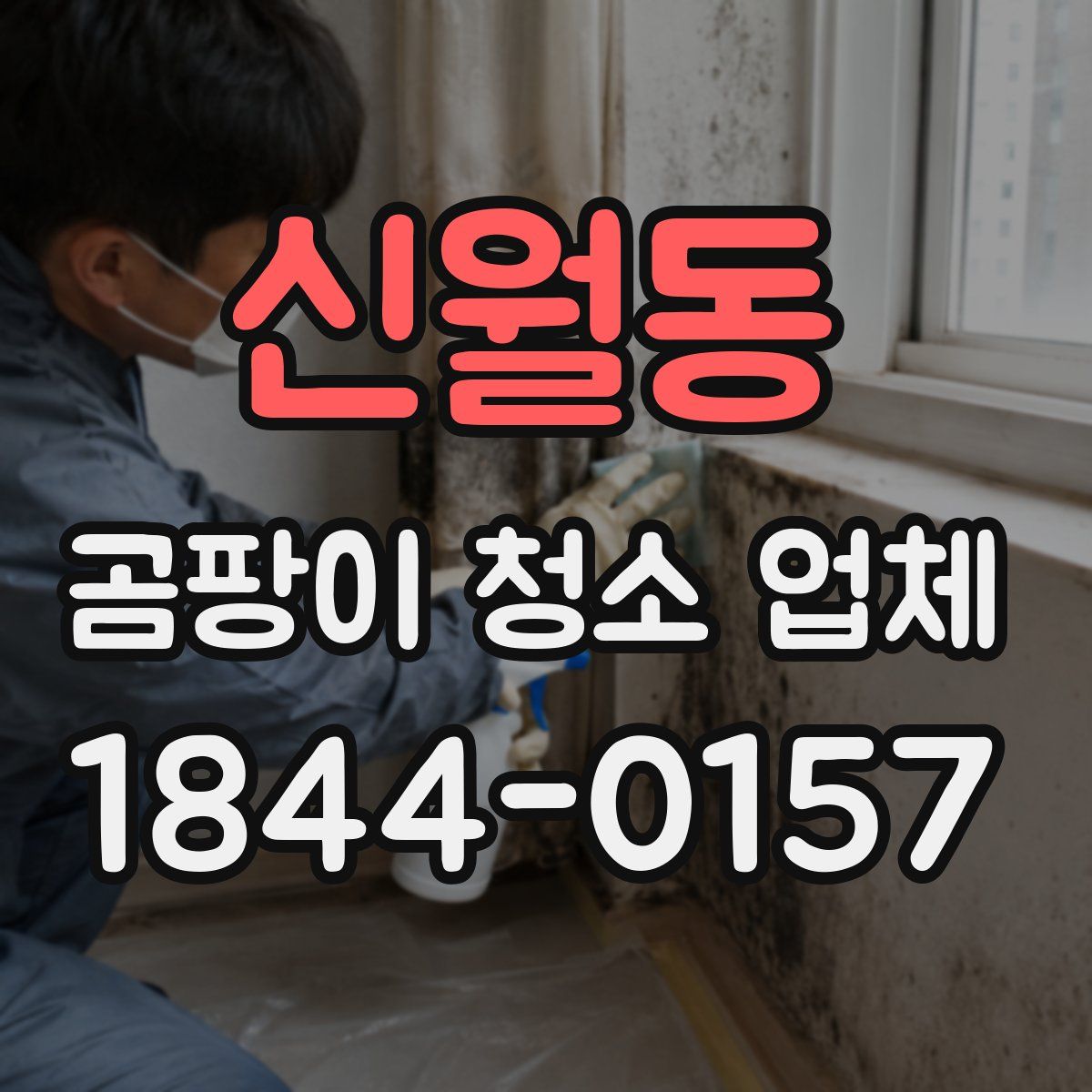신월동 곰팡이 청소 업체