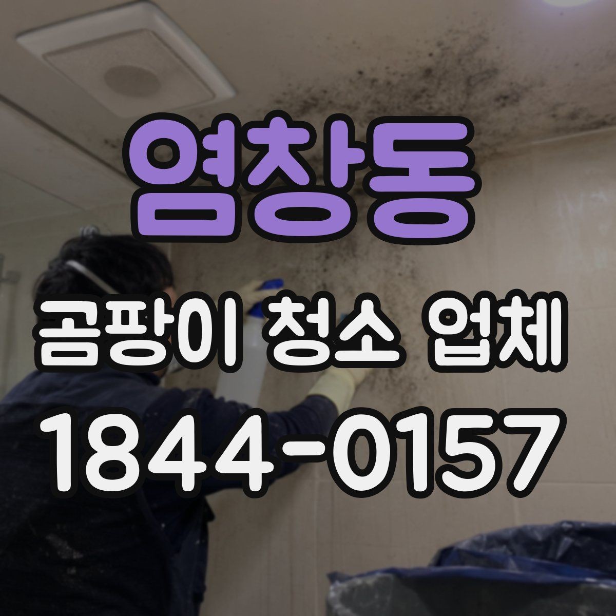 염창동 곰팡이 청소 업체 장비로 지워지는 흔적과 남는 자국
