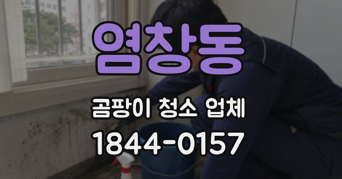 염창동 곰팡이 청소 업체