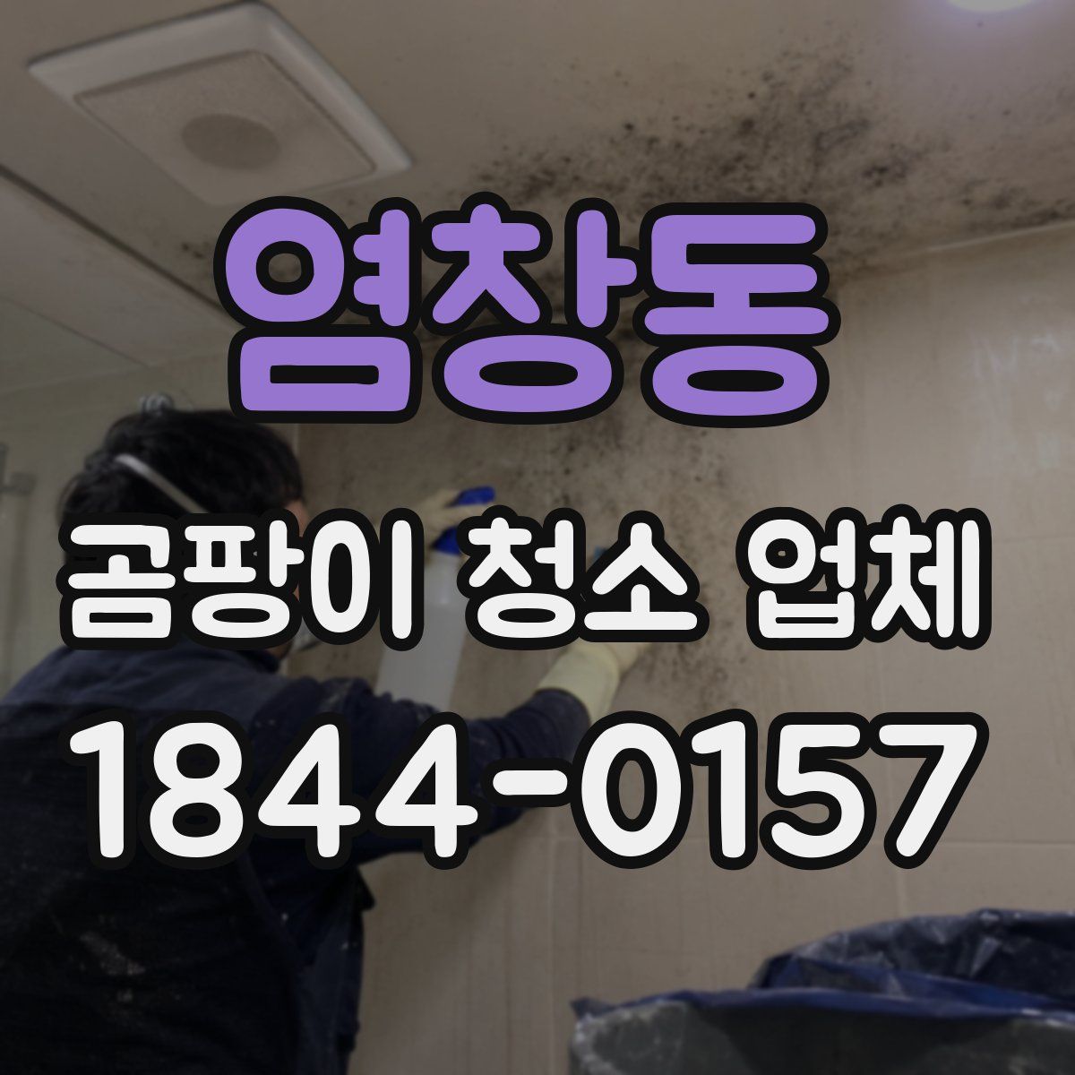 염창동 곰팡이 청소 업체
