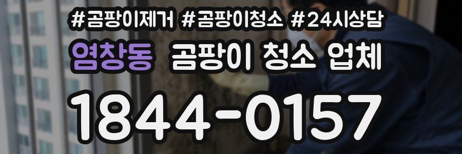 염창동 곰팡이 청소 업체
