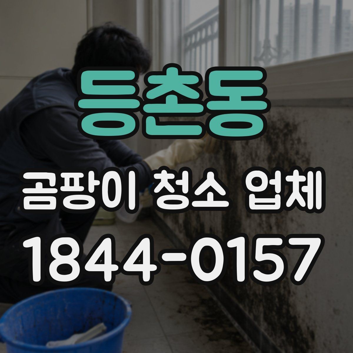 등촌동 곰팡이 청소 업체 마감 정리까지 포함된 작업 범위 정리