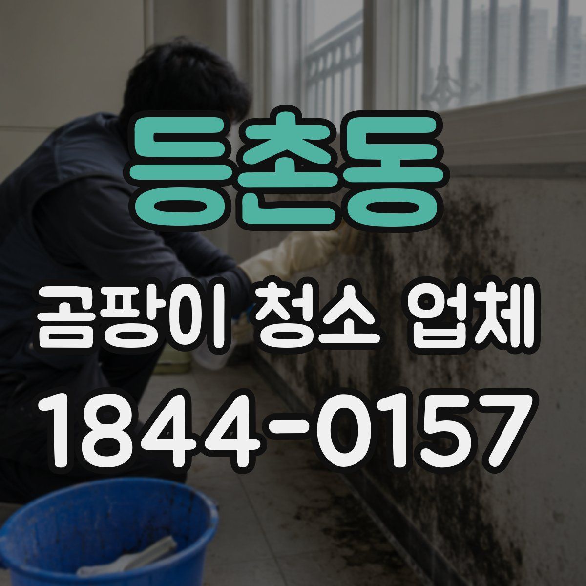 등촌동 곰팡이 청소 업체