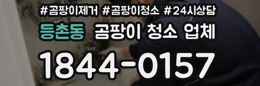 등촌동 곰팡이 청소 업체