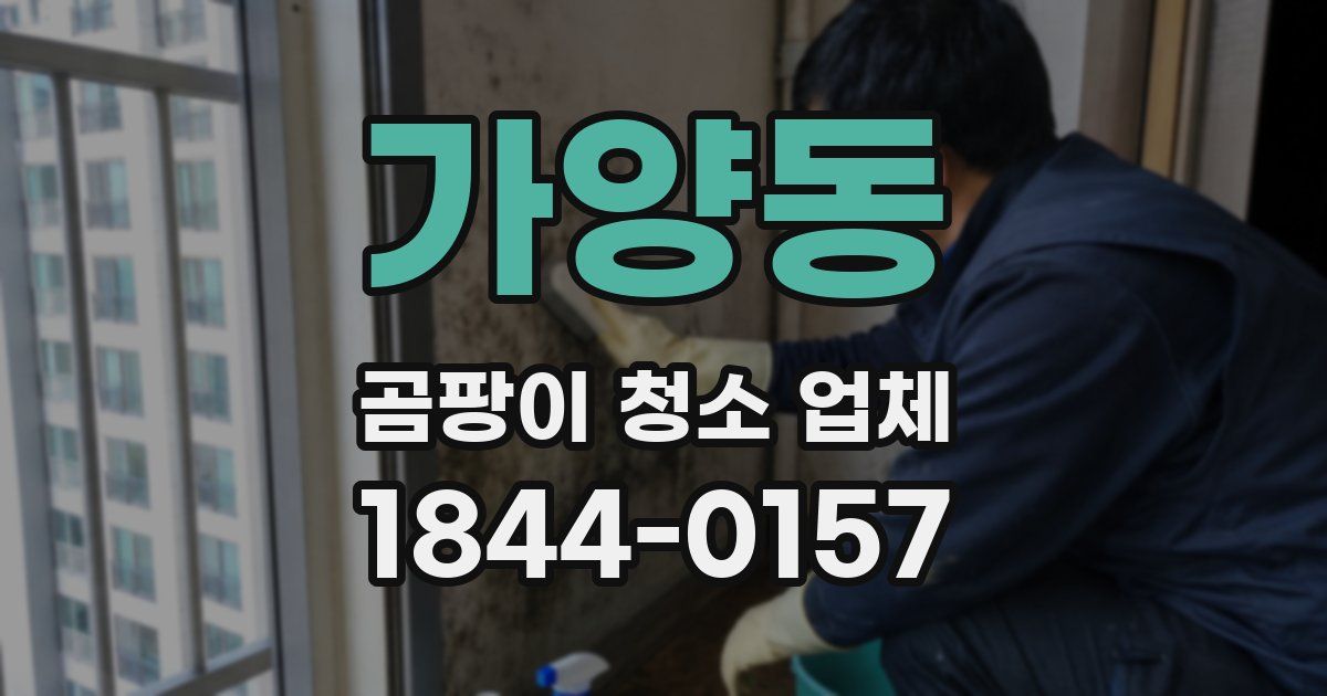 가양동 곰팡이 청소 업체