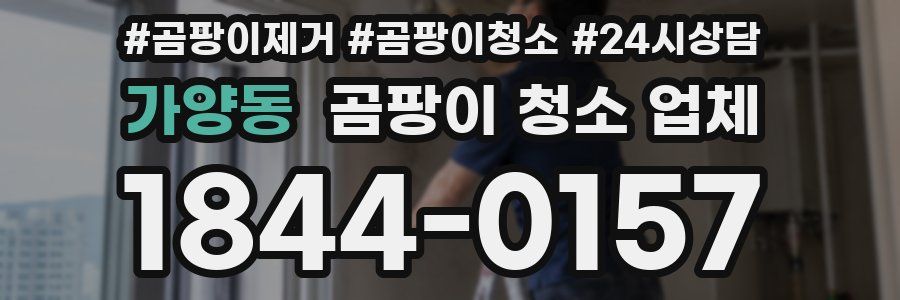 가양동 곰팡이 청소 업체
