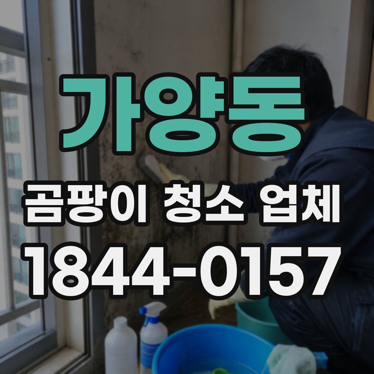 가양동 곰팡이 청소 업체