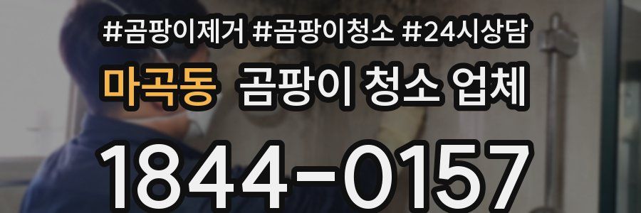마곡동 곰팡이 청소 업체